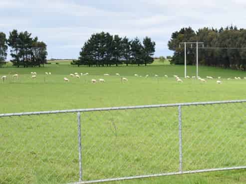 326 Lorne Dacre Road, Roslyn Bush