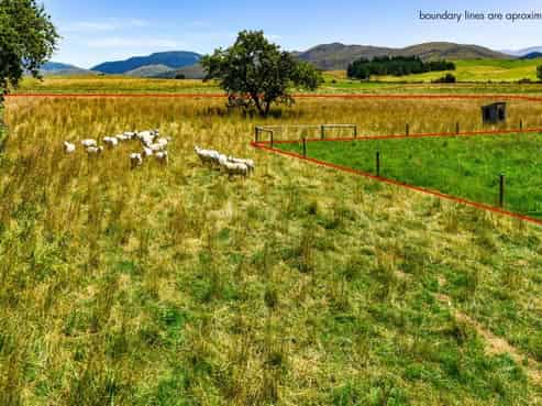 5563 West Coast Road, Springfield