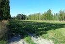 101 Albert Street, Elgin, Ashburton, Canterbury