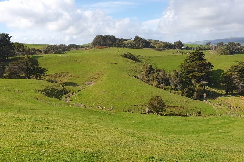 For sale 561 Ruapuke Road, Raglan realestate.co.nz