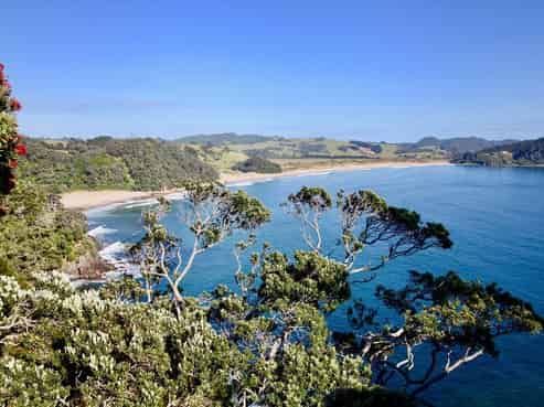 77 Radar Road, Hot Water Beach