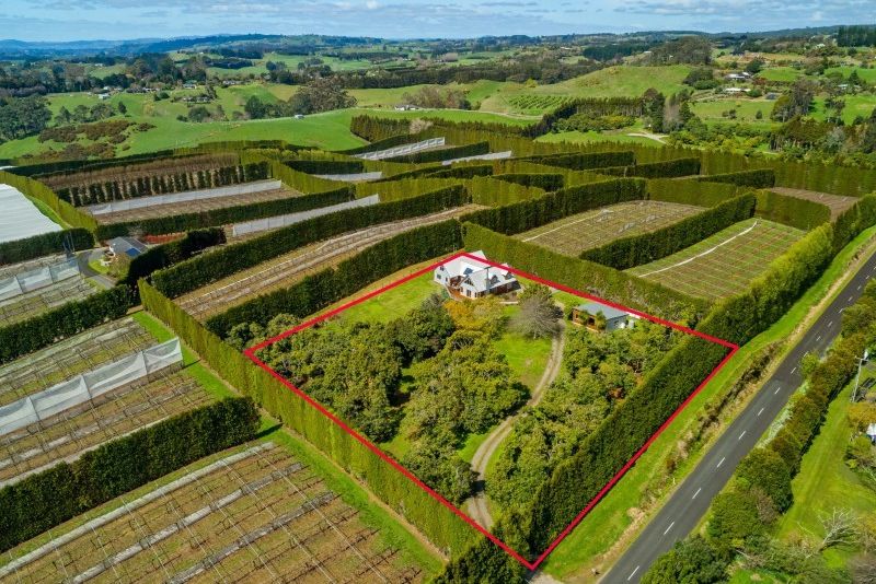 For sale 311 Wainui South Road, Whakamarama realestate.co.nz