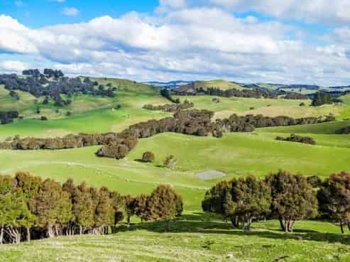 1312 Ngahape Road, Central Hawkes Bay Country
