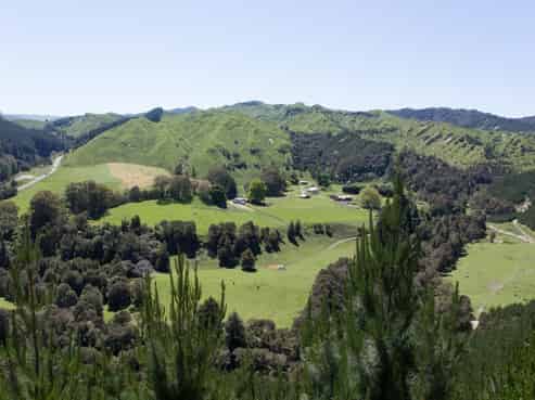 3186 State Highway 4, Kakatahi