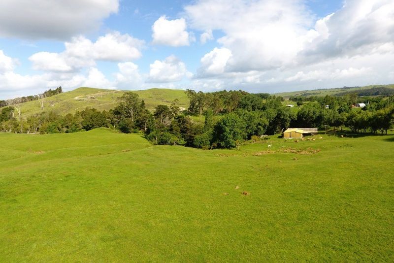 For sale Kaipara Coast Highway, Tauhoa realestate.co.nz