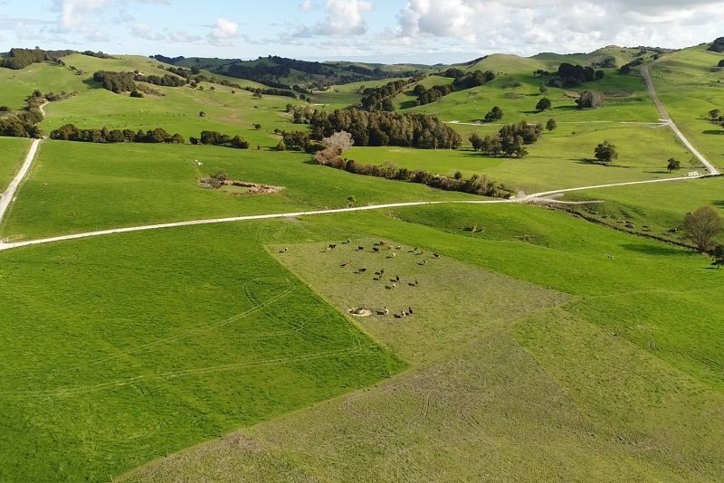 For sale Cartwright Road, Ruawai Surrounds realestate.co.nz