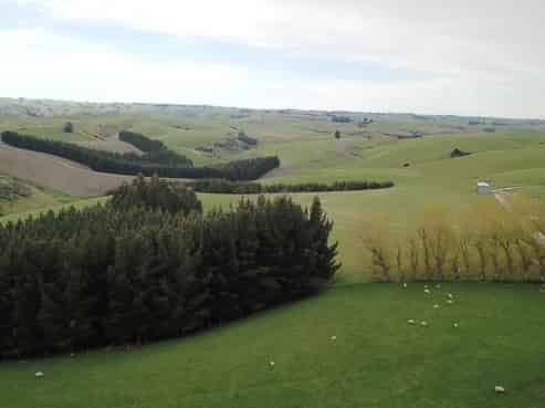 1947 Tuapeka West Road, Lawrence