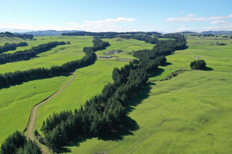 For sale 48 Hawkston Road, Hastings Country - realestate.co.nz