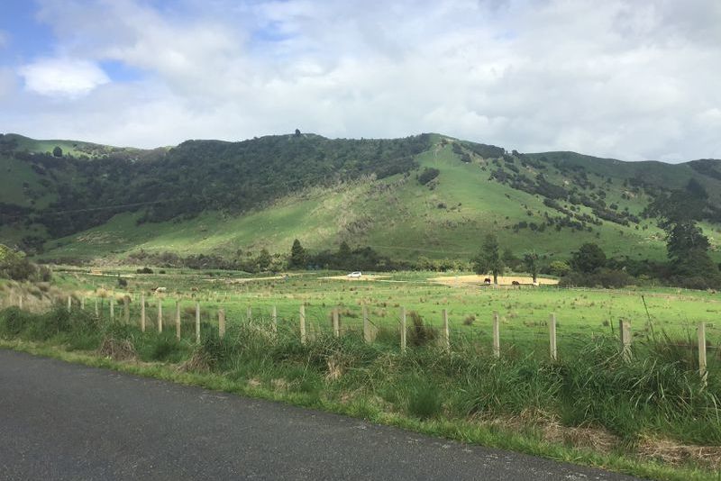 For sale Pahiatua Pongaroa Road, Pahiatua realestate.co.nz