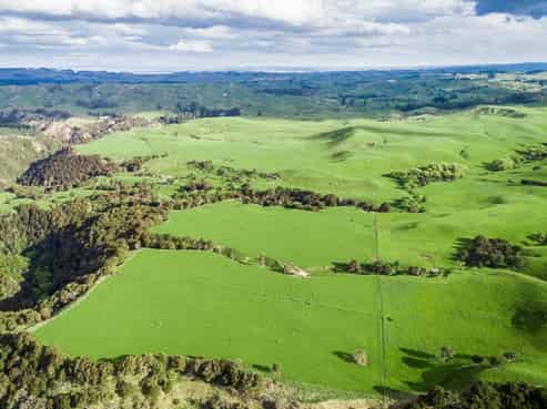 3578 Taihape Road, Waiwhare