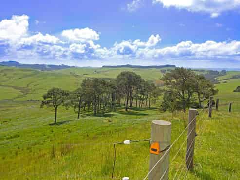 1000 Burma Road, Tapora