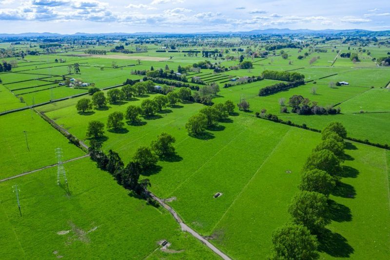 for sale 372 victoria road, cambridge - realestate.co.nz