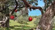 Open gallery