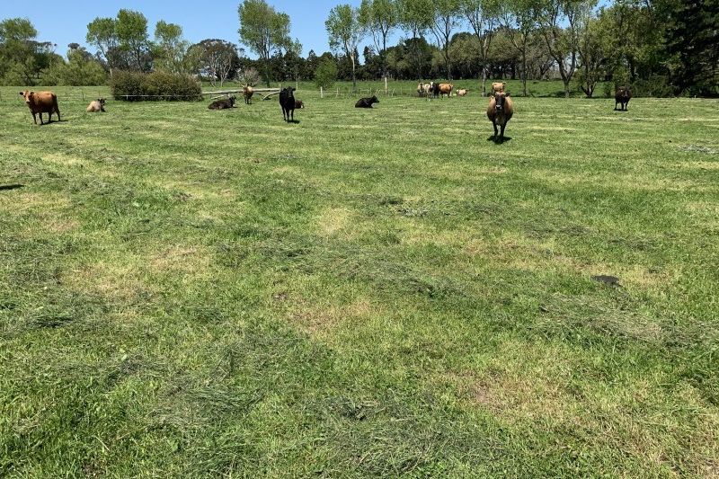 Property value 390 Whakamara Road, Manutahi realestate.co.nz