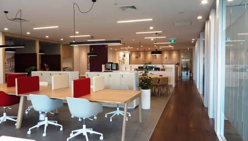 61 Constellation Drive, Albany