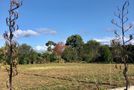 219 Rangitane Road, Kerikeri, Far North, Northland