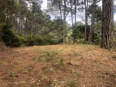 205 Kaimarama Road, Kaimarama