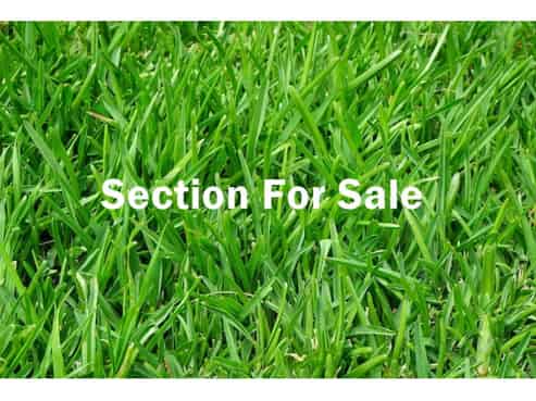 5 Primrose Lane, Karangahake
