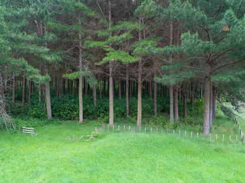 951 Creek Road, Mangamahu