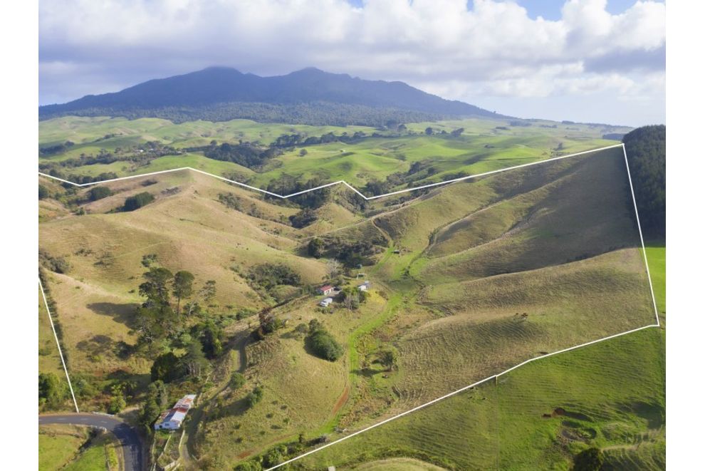 For sale Te Mata Farmlet 38 hectares realestate.co.nz