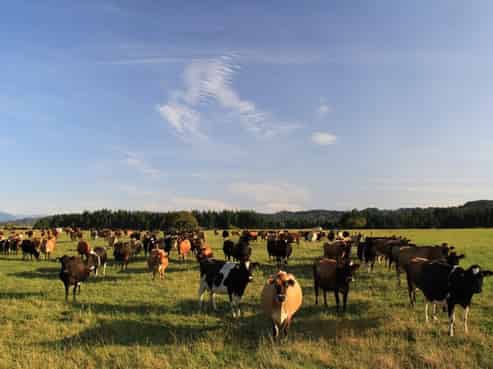 3564 State Highway 7, Ahaura