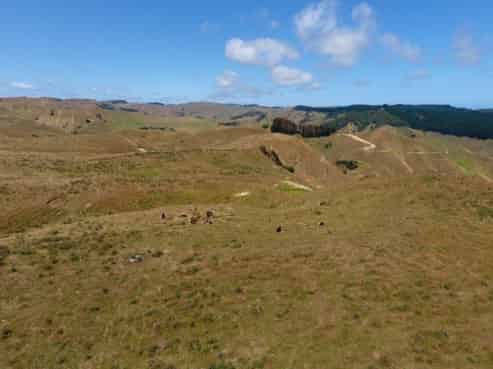 335 Te Waitere Road, Taharoa