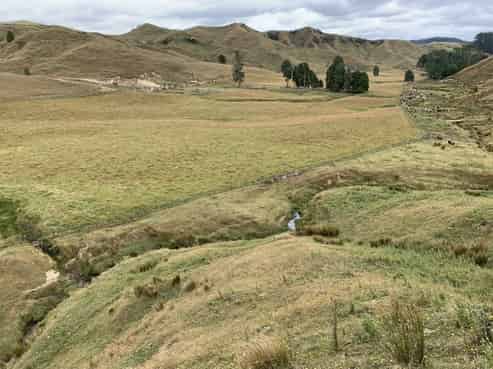 155 Mangamaire Road, Pohokura and Surrounds