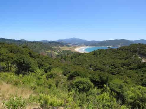 893 Tuateawa Road, Waikawau