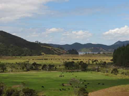 621 Waikawau Beach Road, Waikawau