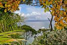 124 Aeroview Drive, Beach Haven, North Shore City, Auckland