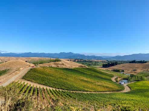 317 Brookby Road, Fairhall