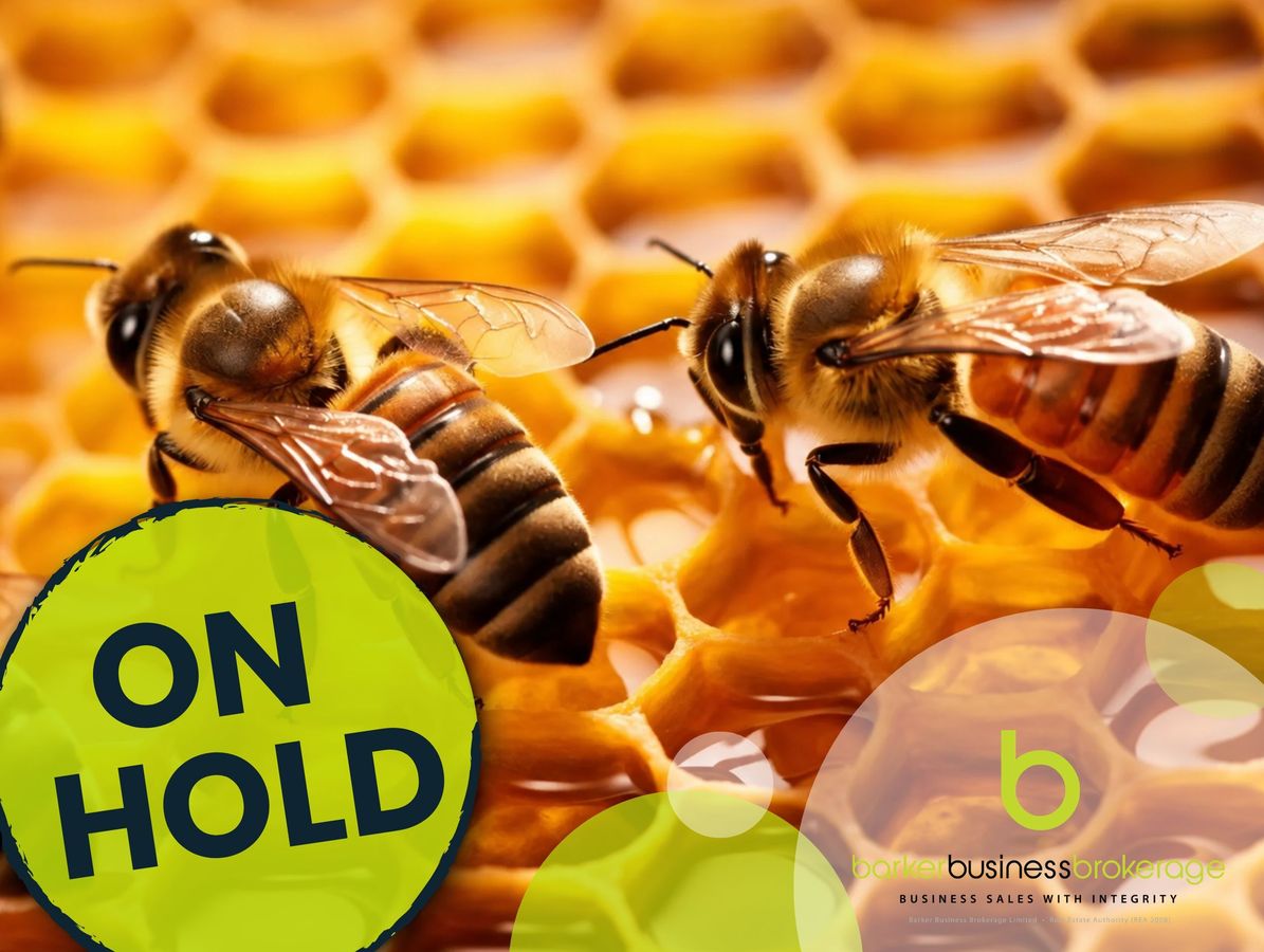 Apiary - Buzzing with Many Growth Opportunities