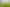 569 Tane Road, Opiki