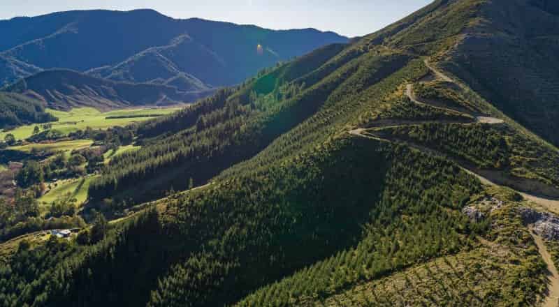 Kaiuma Bay Road, Canvastown, Marlborough For Sale realestate.co.nz