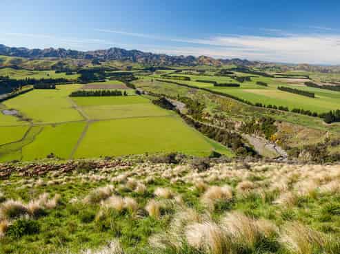 3276 Inland Kaikoura Road, Stag And Spey