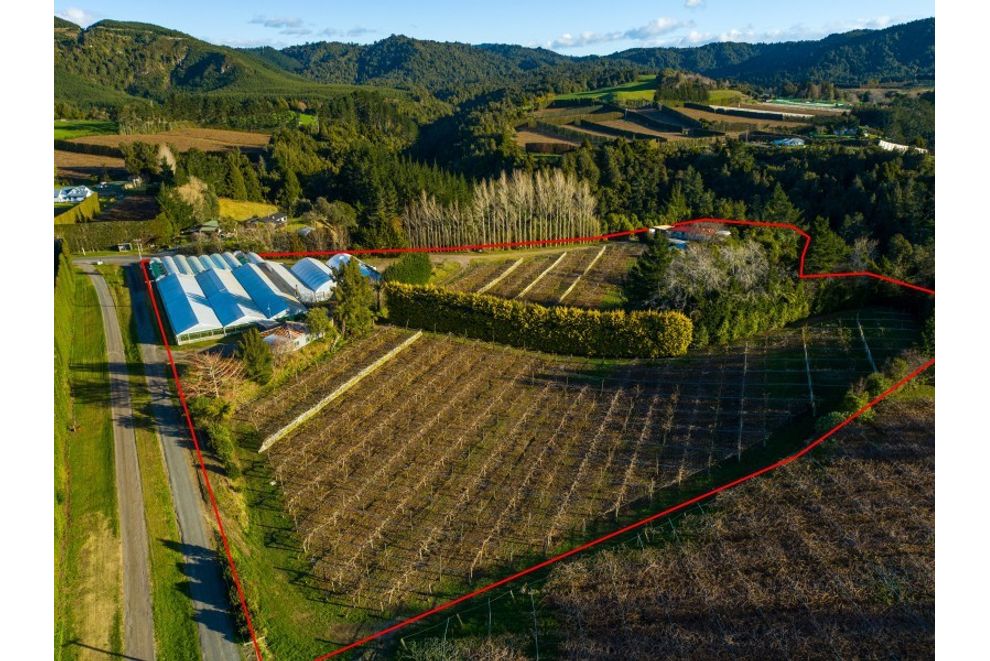 For sale 1164 No 3 Road, Te Puke realestate.co.nz