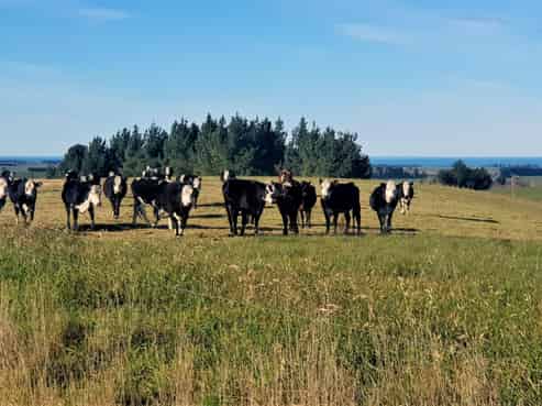 17 Esk Bank Road, Otaio