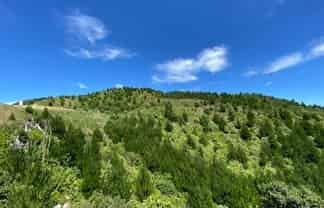 669 (Lot 1 Paekakariki Hill Road, Pauatahanui