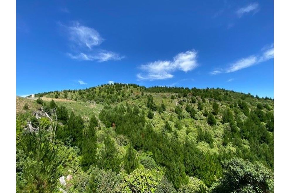 669 (Lot 1 Paekakariki Hill Road, Pauatahanui, Porirua City For Sale