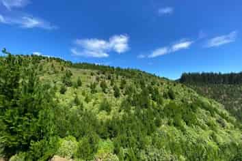 669 (Lot 1 Paekakariki Hill Road, Pauatahanui