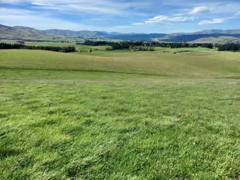 313 Tara Hill Road, Elephant Hill