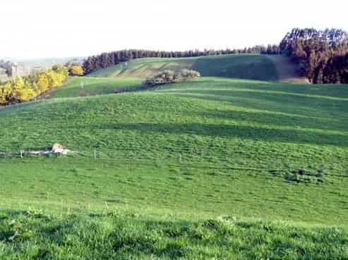 1629 Weston-ngapara Road, Enfield and Surrounds