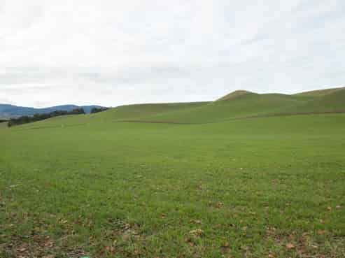 331 Elephant Hill Road, Waihao Downs