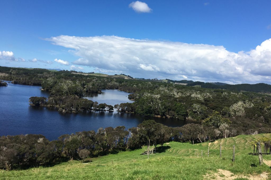 Property value 505F Kerikeri Inlet Road, Kerikeri realestate.co.nz