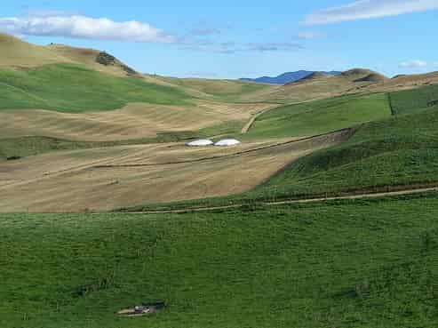 1590 Pikes Point Road, Ikawai