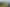 556 Poplar Road, Opiki