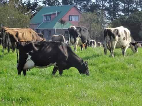 3741 State Highway 7, Totara Flat