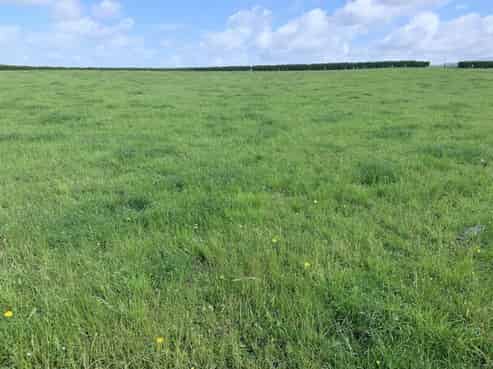 2372 Opunake Road, Manaia