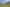 295 Forest Road, Parewanui/Scott's Ferry