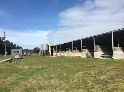 295 Forest Road, Parewanui/Scott's Ferry